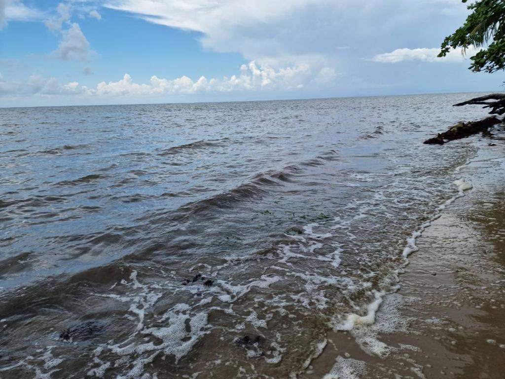 listing image with ID 63716