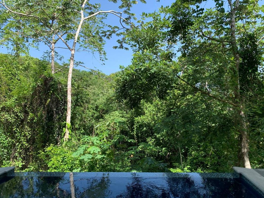 listing image with ID 66171