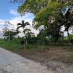 listing image thumbnail with ID 65015