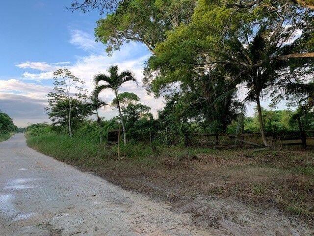 listing image with ID 65015