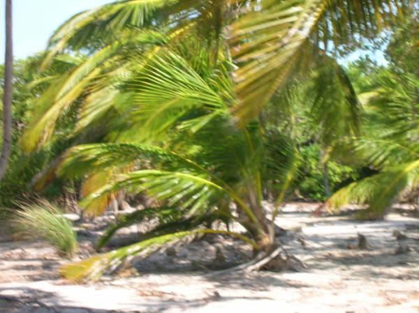 listing image with ID 68102