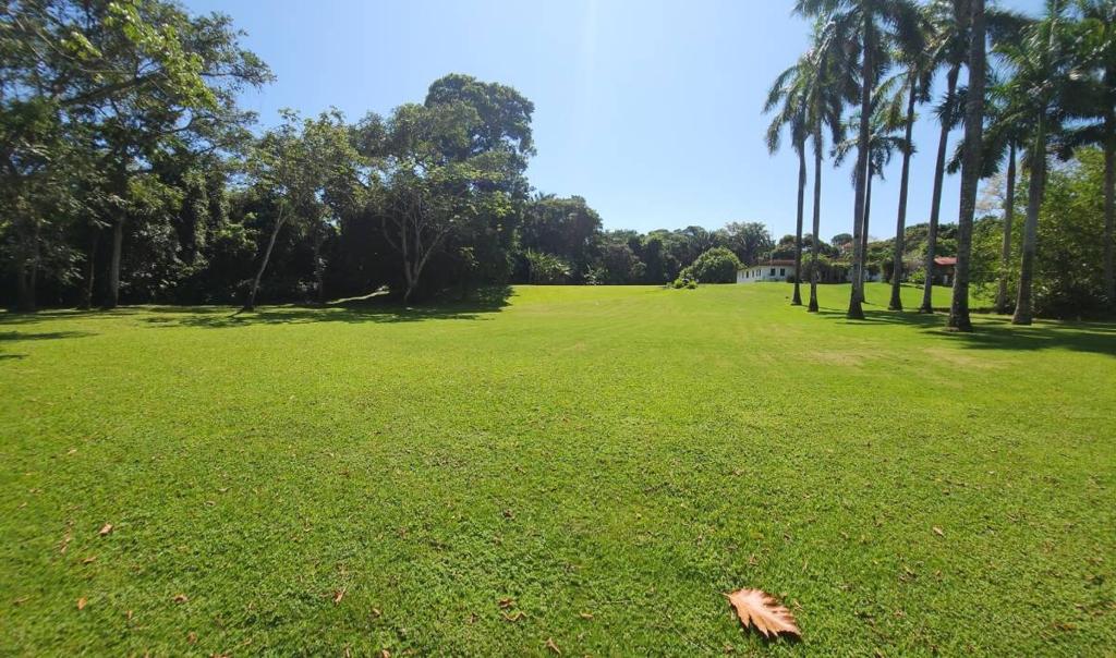 listing image with ID 67738