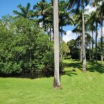 listing image thumbnail with ID 67734