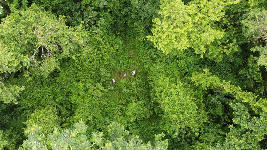 listing image with ID 66271