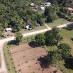 listing image thumbnail with ID 64953