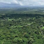 listing image thumbnail with ID 65219