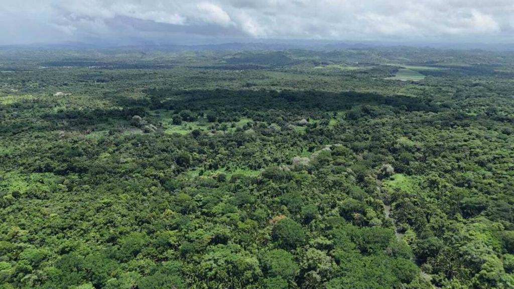 listing image with ID 65219