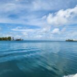 listing image thumbnail with ID 65841