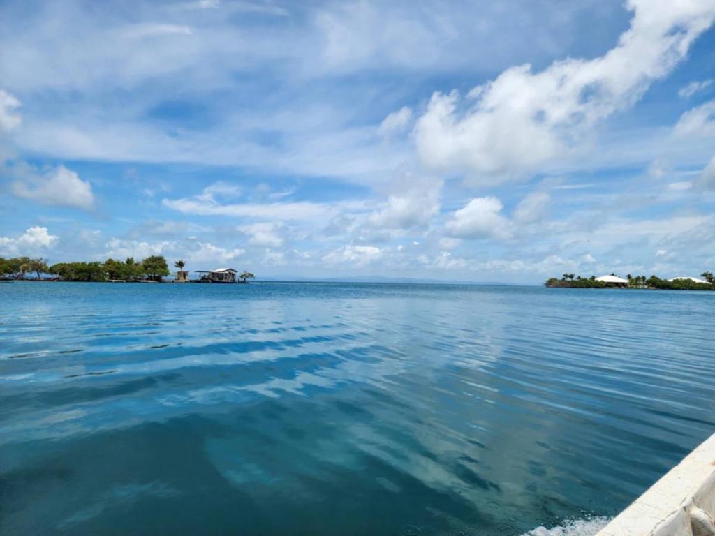 listing image with ID 65841