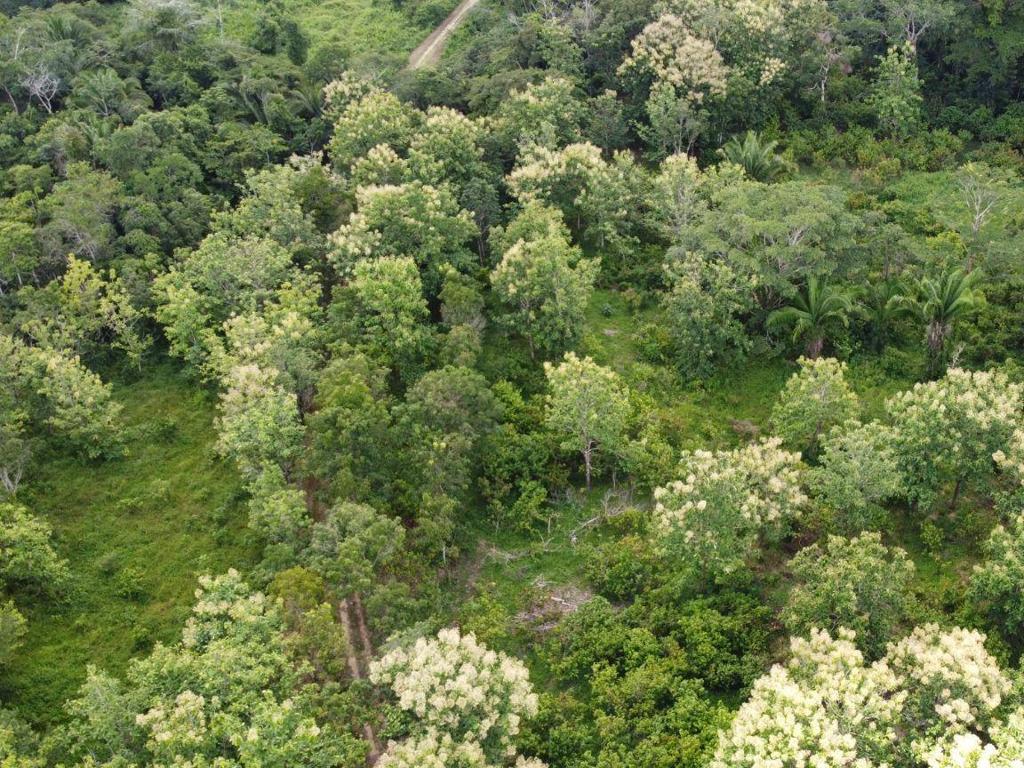 listing image with ID 64229