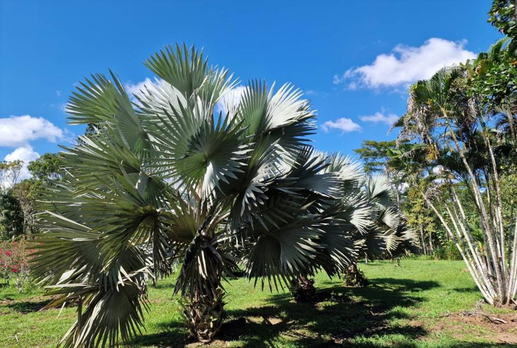 listing image with ID 64994