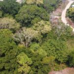 listing image thumbnail with ID 65119