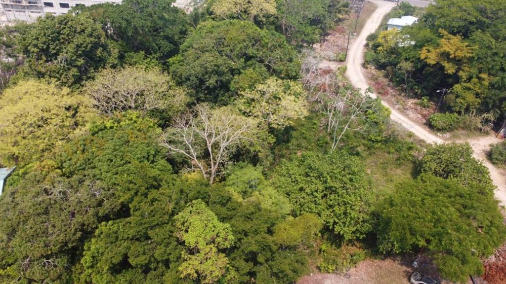 listing image with ID 65119