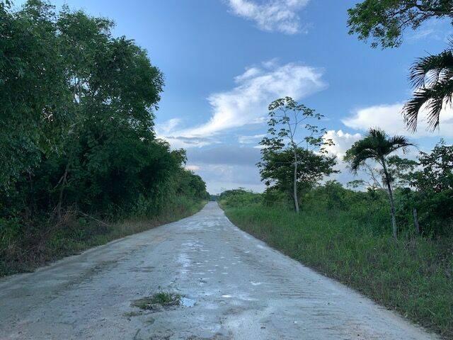 listing image with ID 65034