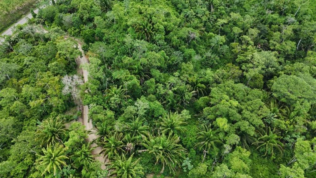 listing image with ID 68266