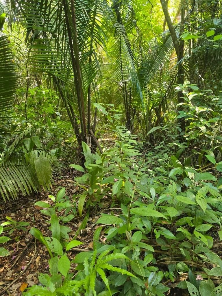 listing image with ID 67081