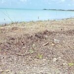 listing image thumbnail with ID 68207