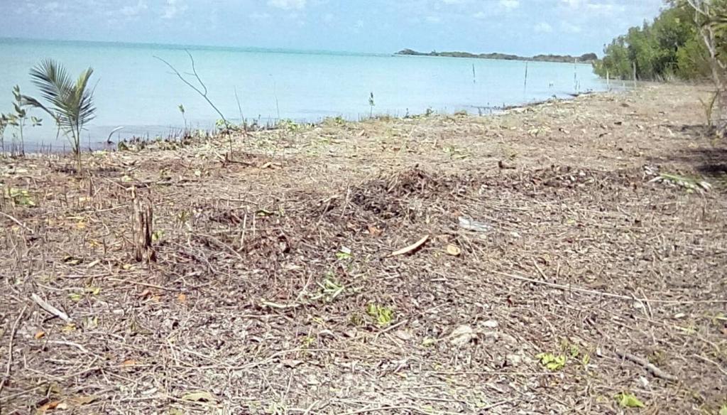 listing image with ID 68207