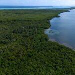 listing image thumbnail with ID 65977