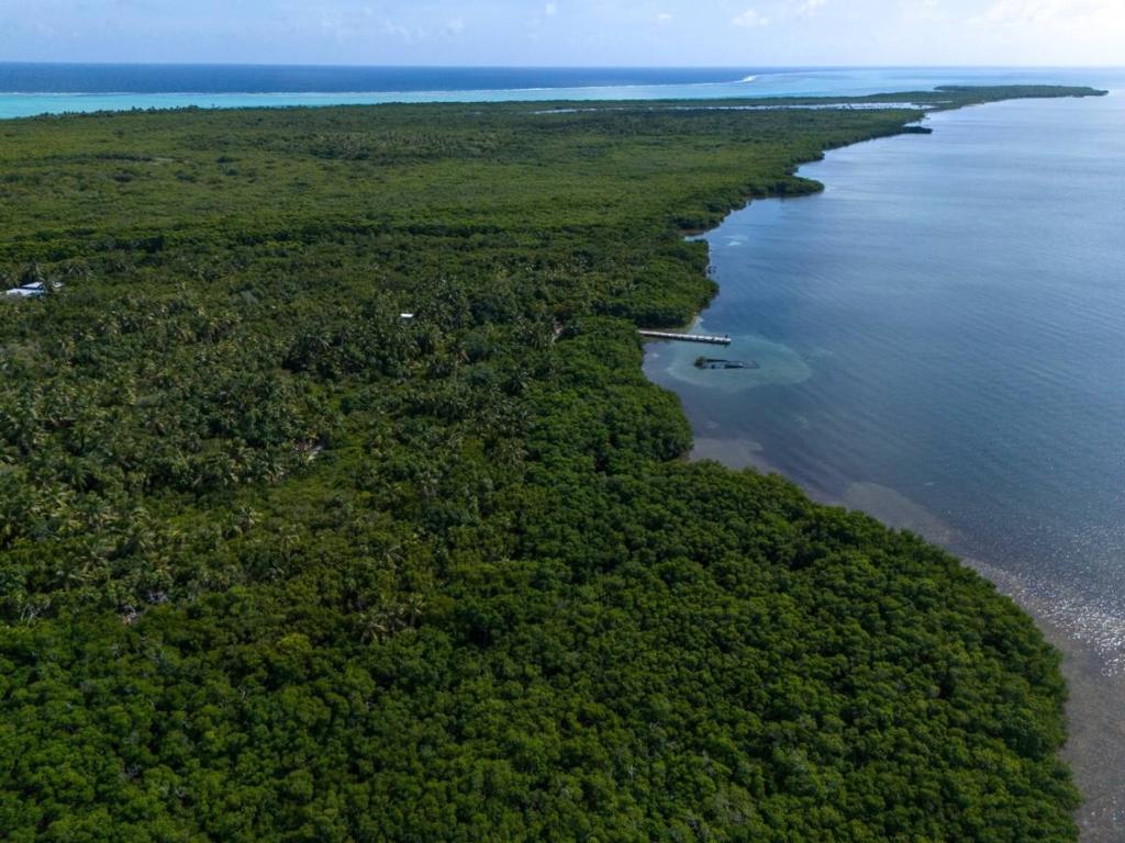 listing image with ID 65977