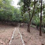 listing image thumbnail with ID 65605