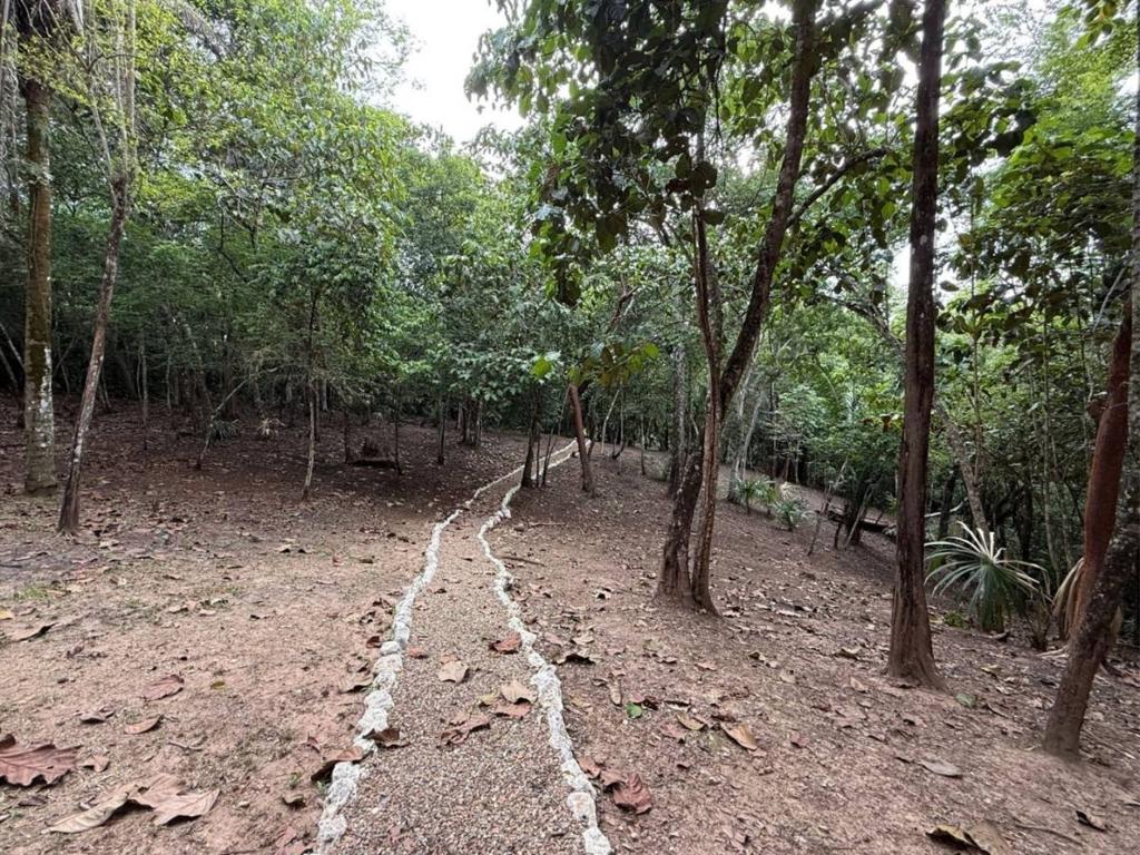 listing image with ID 65605