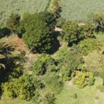 listing image thumbnail with ID 64938