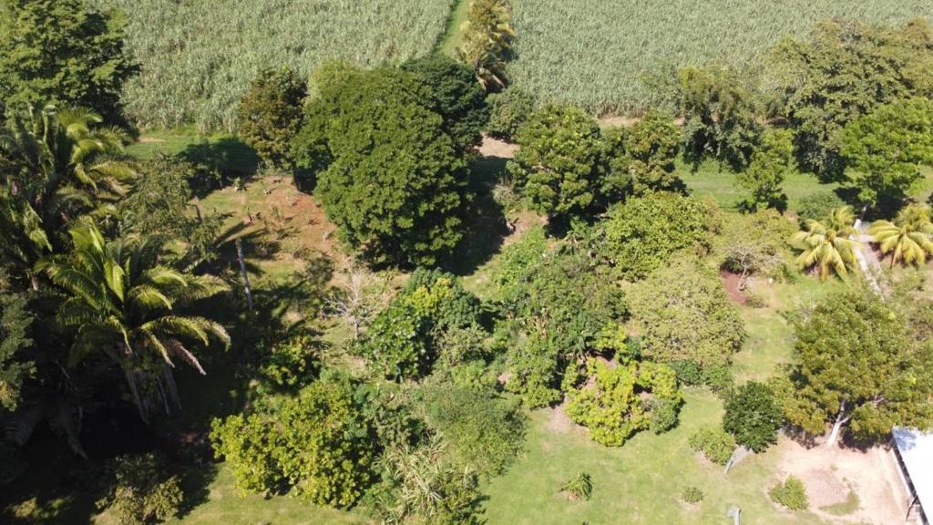 listing image with ID 64938