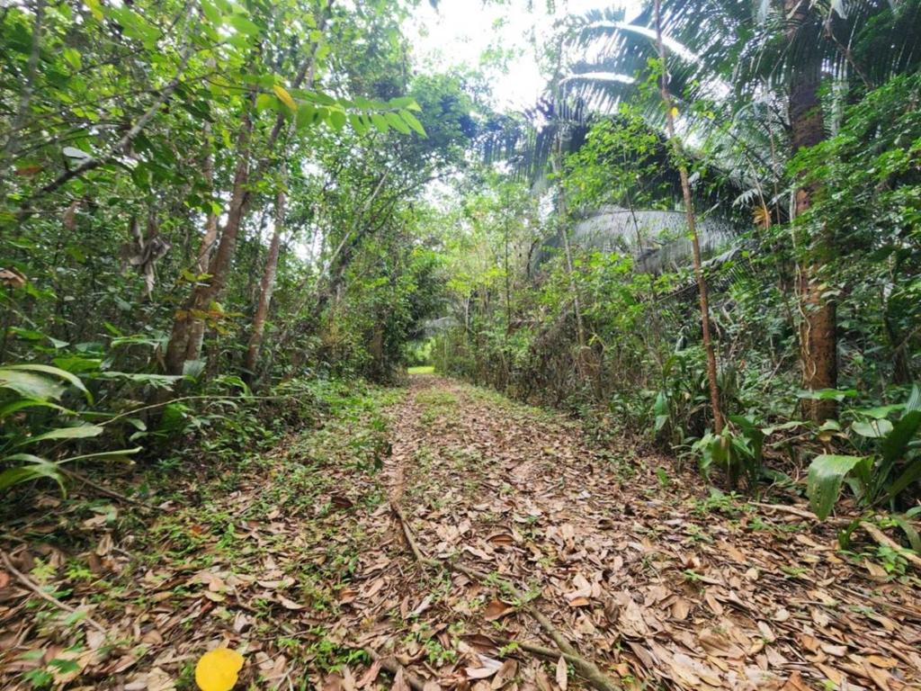 listing image with ID 69212