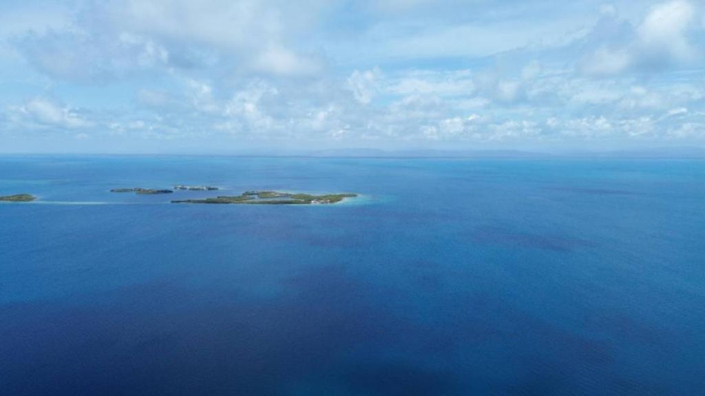 listing image with ID 65087