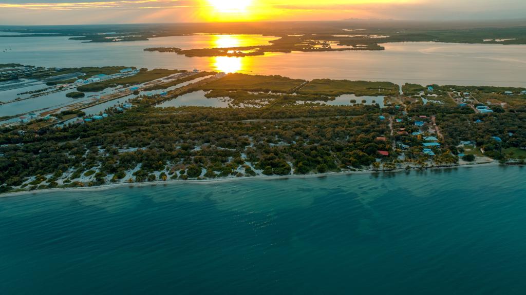 listing image with ID 68717