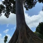 listing image thumbnail with ID 67664