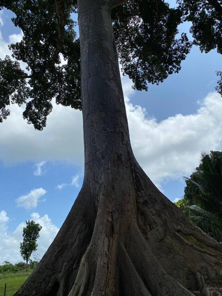 listing image with ID 67664