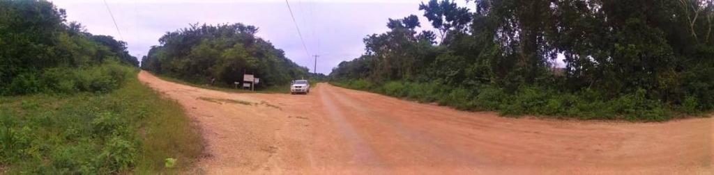 listing image with ID 64509