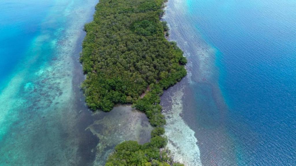 listing image with ID 65085