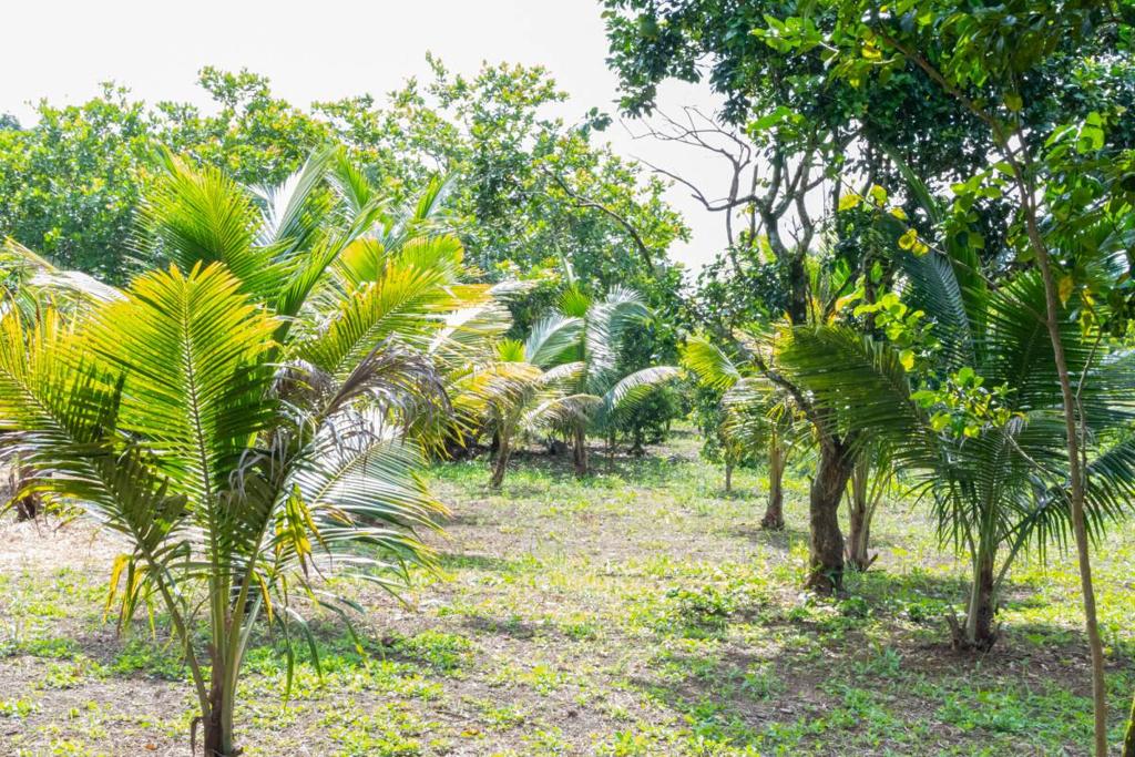 listing image with ID 67670