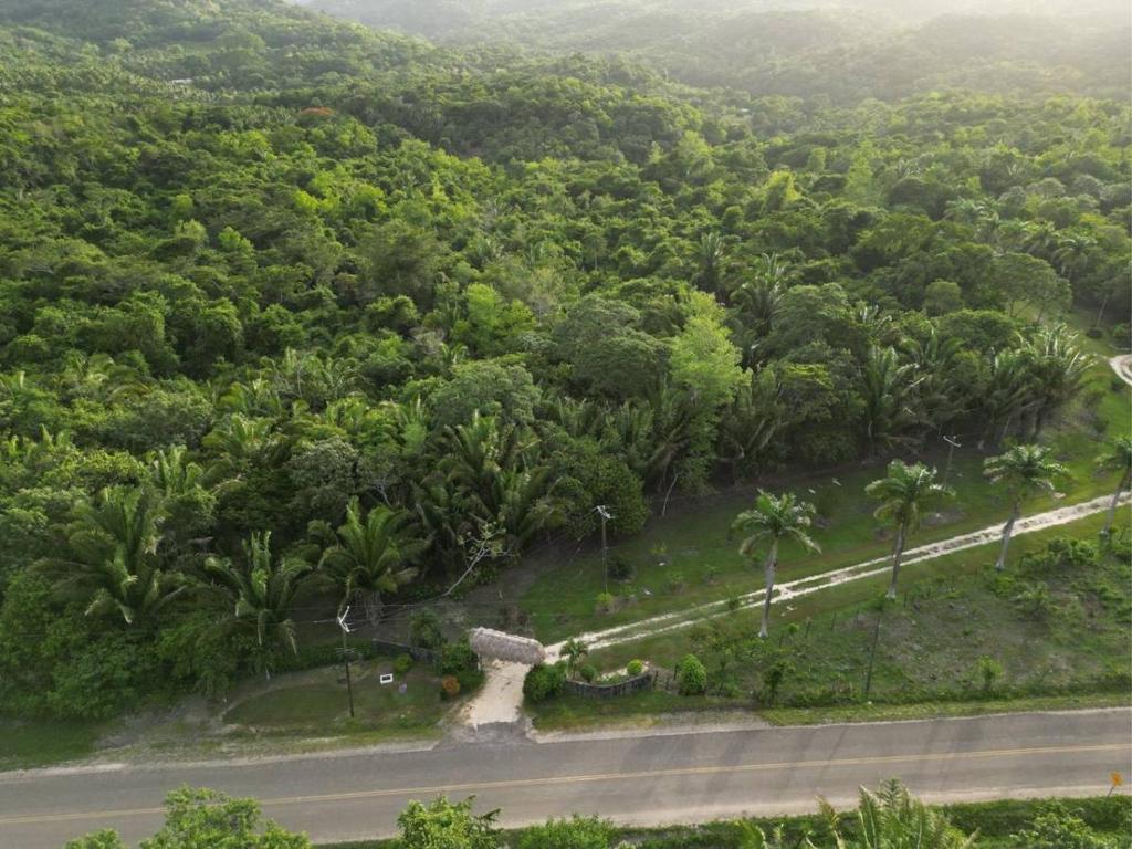 listing image with ID 65624