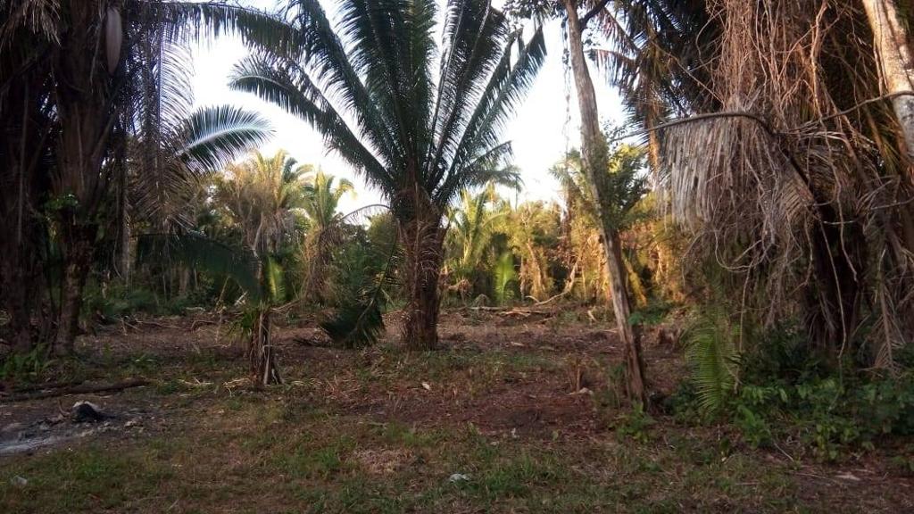 listing image with ID 67309