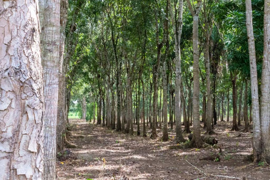 listing image with ID 67652