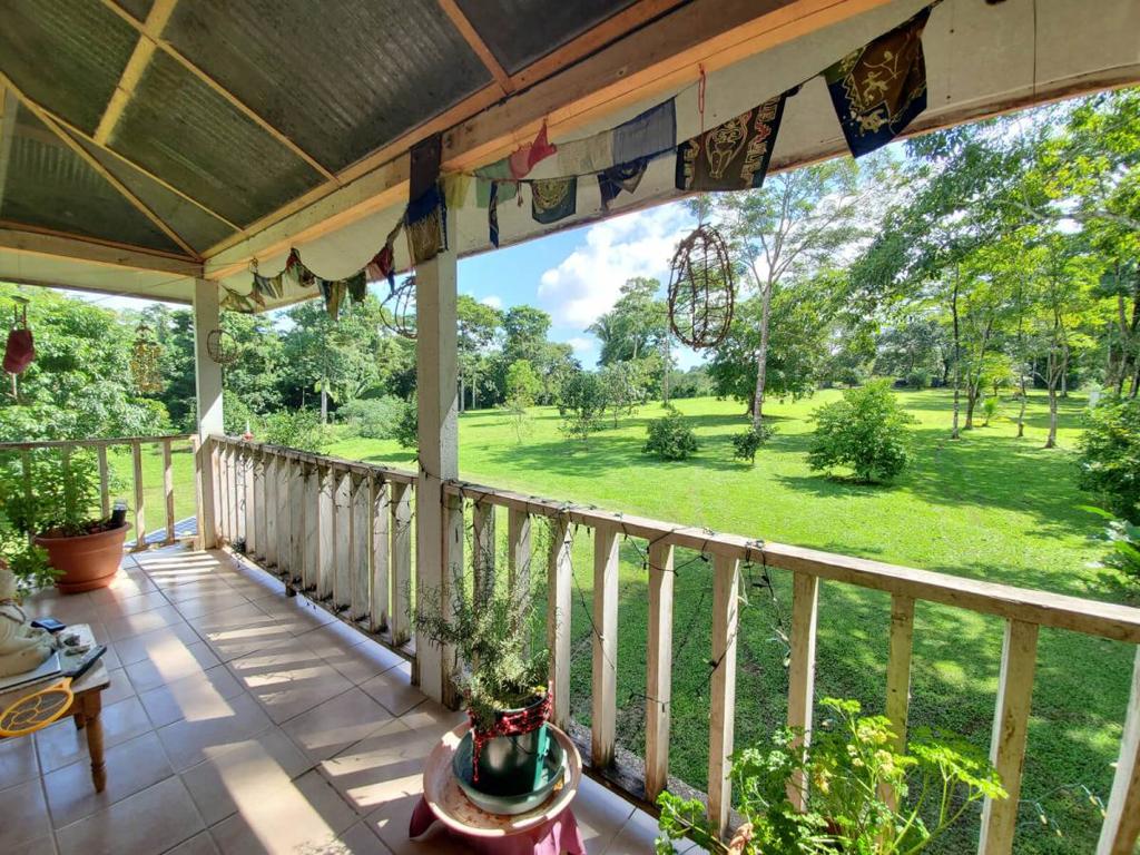 listing image with ID 67356