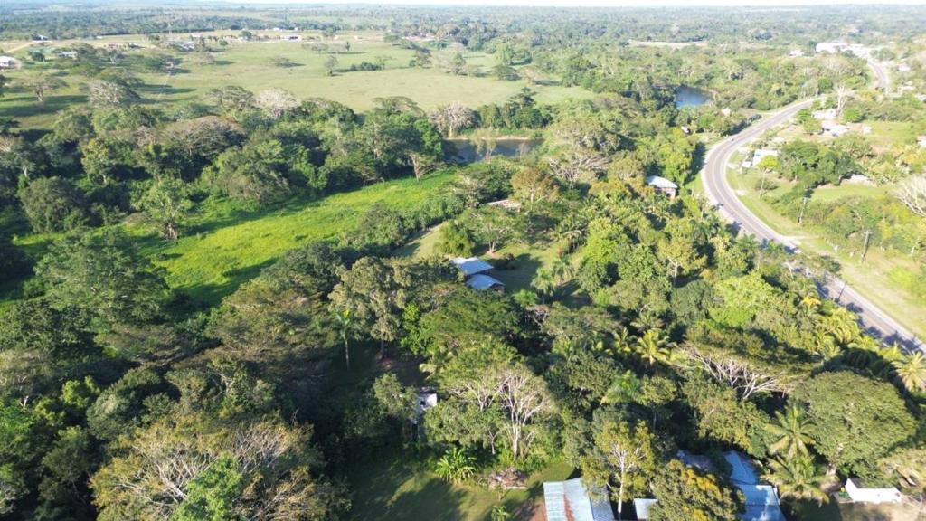 listing image with ID 67620