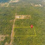 listing image thumbnail with ID 68517