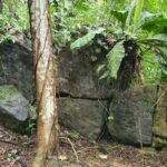 listing image thumbnail with ID 66262