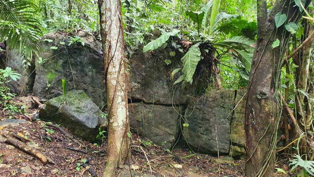 listing image with ID 66262