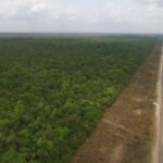 listing image thumbnail with ID 66209