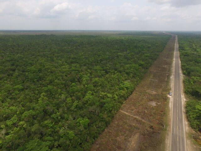 listing image with ID 66209