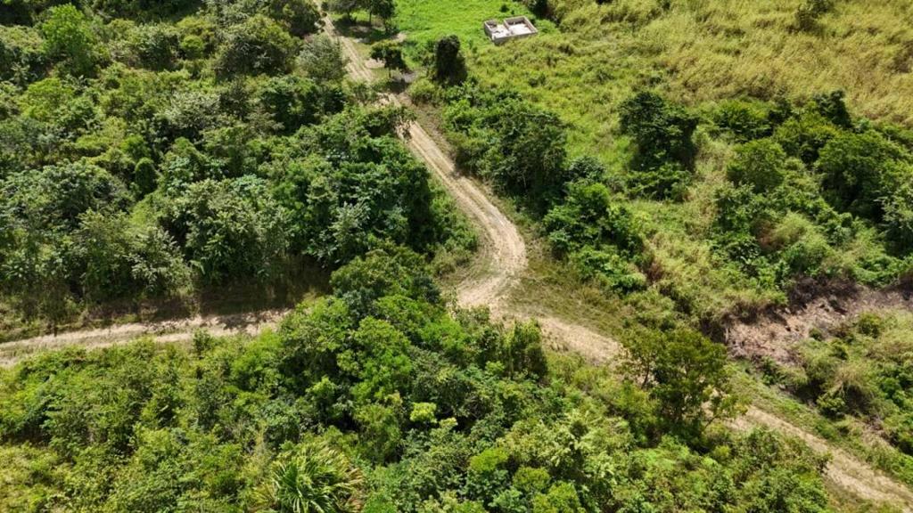 listing image with ID 63682