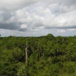 listing image thumbnail with ID 63957