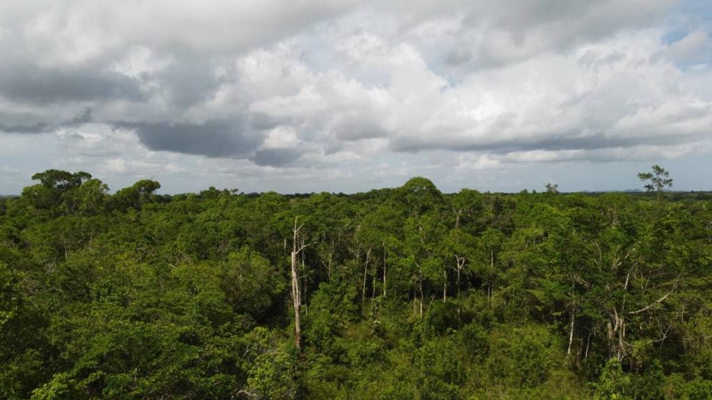 listing image with ID 63957