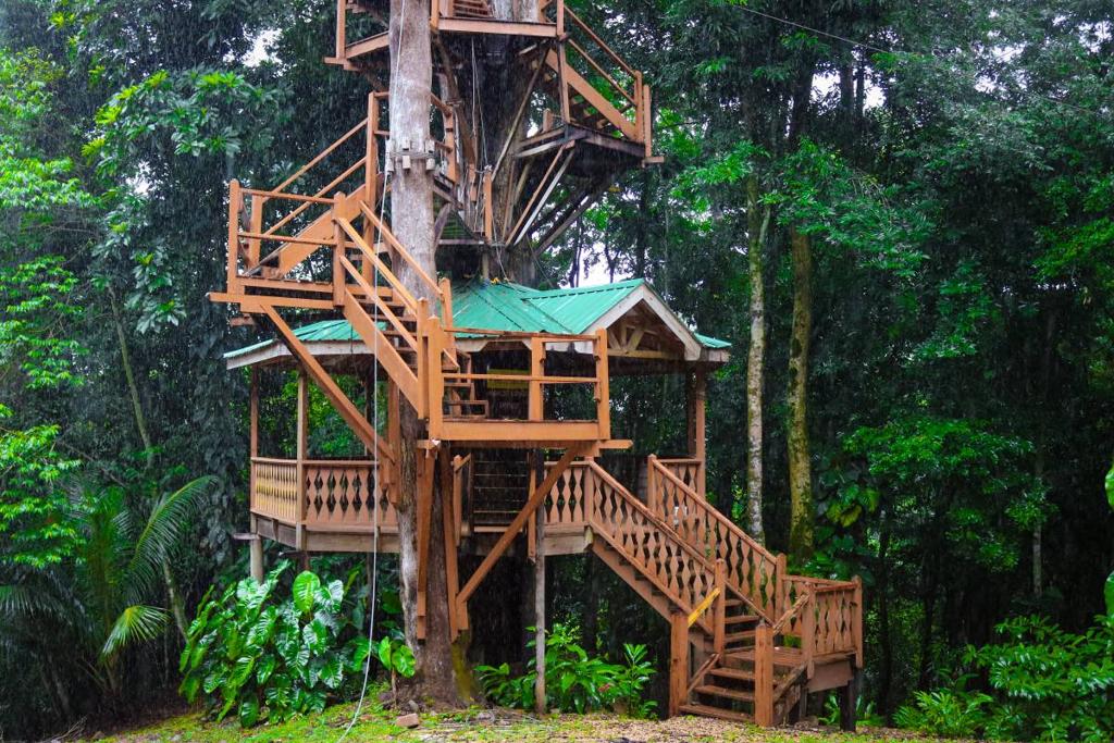 listing image with ID 63917